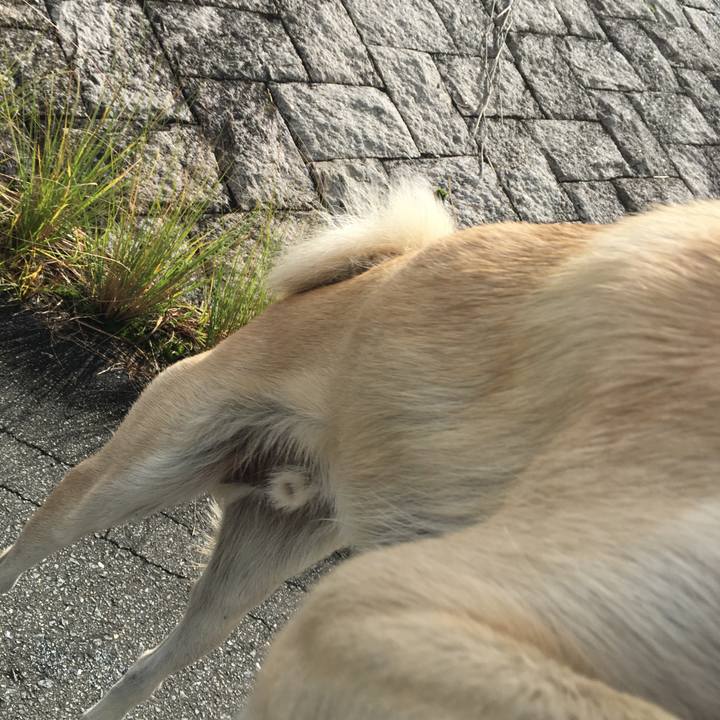 9dcf0ca4 e068 4ccb 9970 811a1771ede4 1509369502897