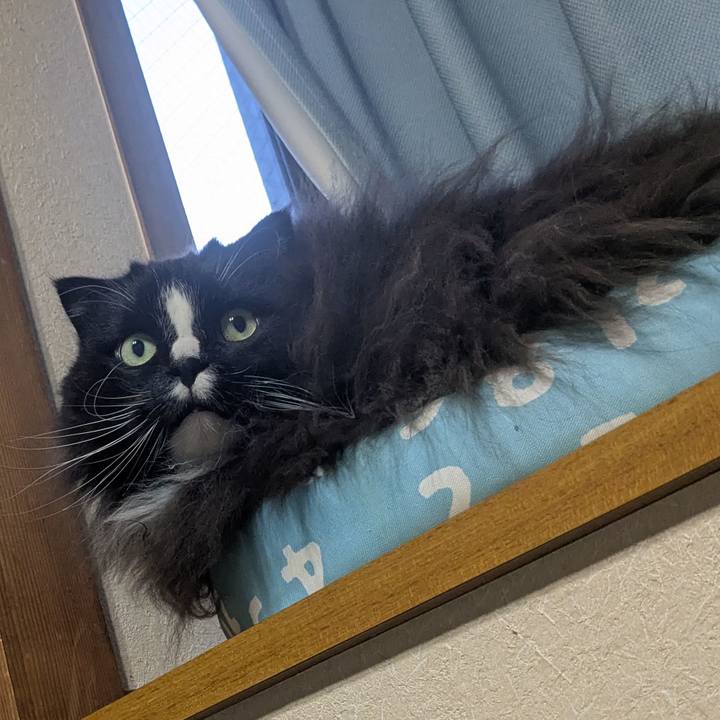 9dcf2c41 2dad 4cdf 8c62 0ab0db7721ef 1769501051607