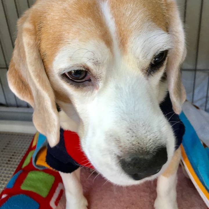 9dcf67fd c7d9 4e81 a14b 848d194870e9 1740009343800