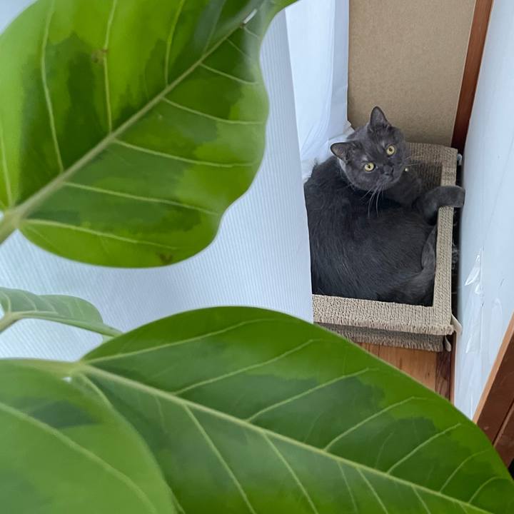 9dcf6c33 2747 4d2a 89e2 a33dc8982806 1760307640667