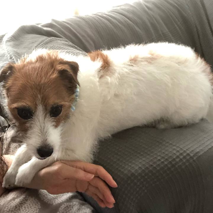 9dcf8522 f984 491b 9350 5d4a3529f09c 1596869299954