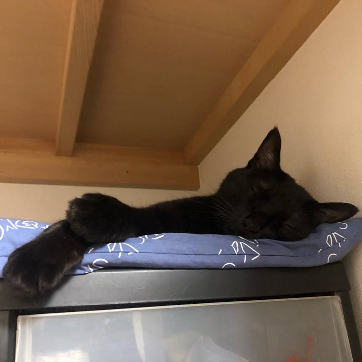 9dcfa673 7327 47b8 936b b4b44dc0d597 1571574423762