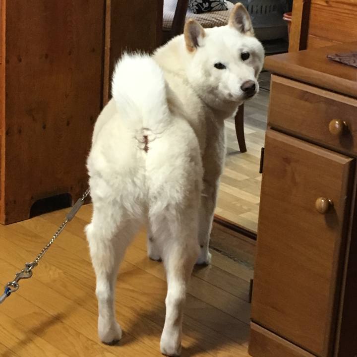 9dcff134 0429 4de9 825f 65caba2e35c2 1545866149797