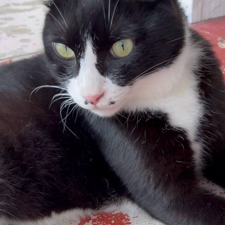 9dcff92d 9962 42ea 931b 2ee706efc6aa 1752754421623