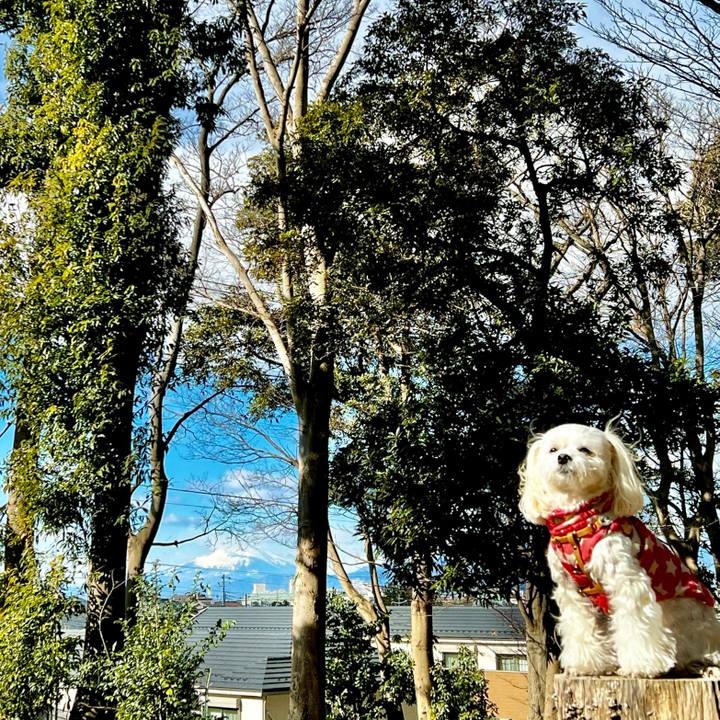 9dd02e94 0622 44c6 8ce8 7ef4e4b390a6 1674616985692