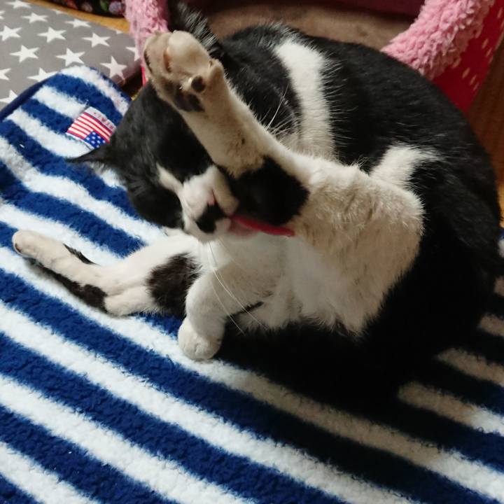 9dd0321c dcae 4e81 99e5 2385ec258080 1549814474405