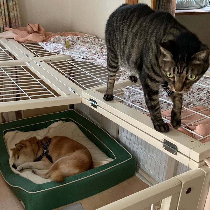 9dd0624b 1a4e 47f6 8613 72a5228cd000 1607744225162