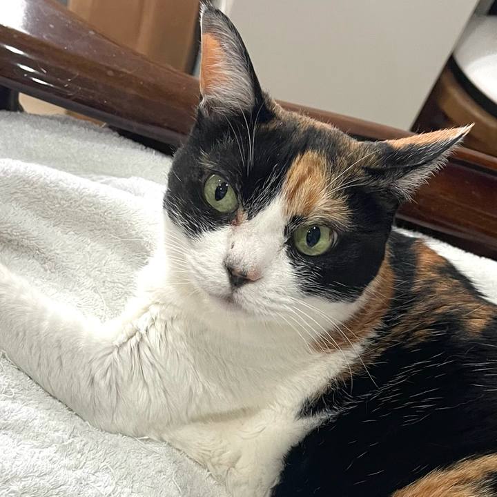 9dd0776d 0191 41af 8698 62944874016e 1773879450842