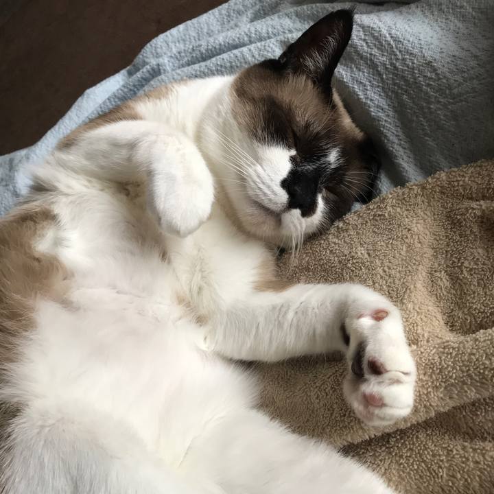 9dd07ade 54ce 4df1 aa91 4b39db530bc4 1553210497901