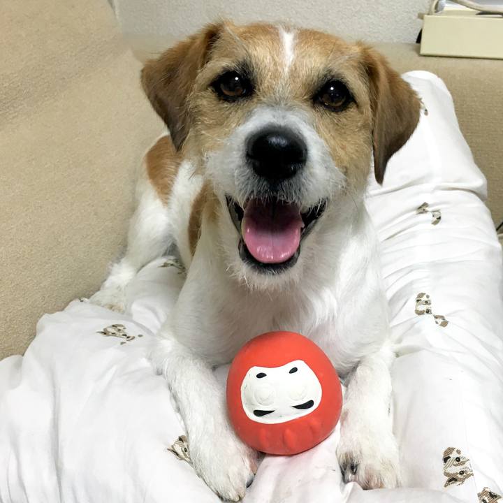 9dd084c2 3b60 42b8 9f4f 31a4d7a5140a 1578011132263