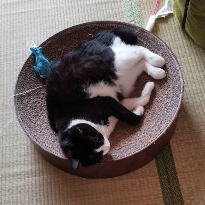 9dd08daa ec22 4074 9b1f 741c40e3d3ca 1691640212136