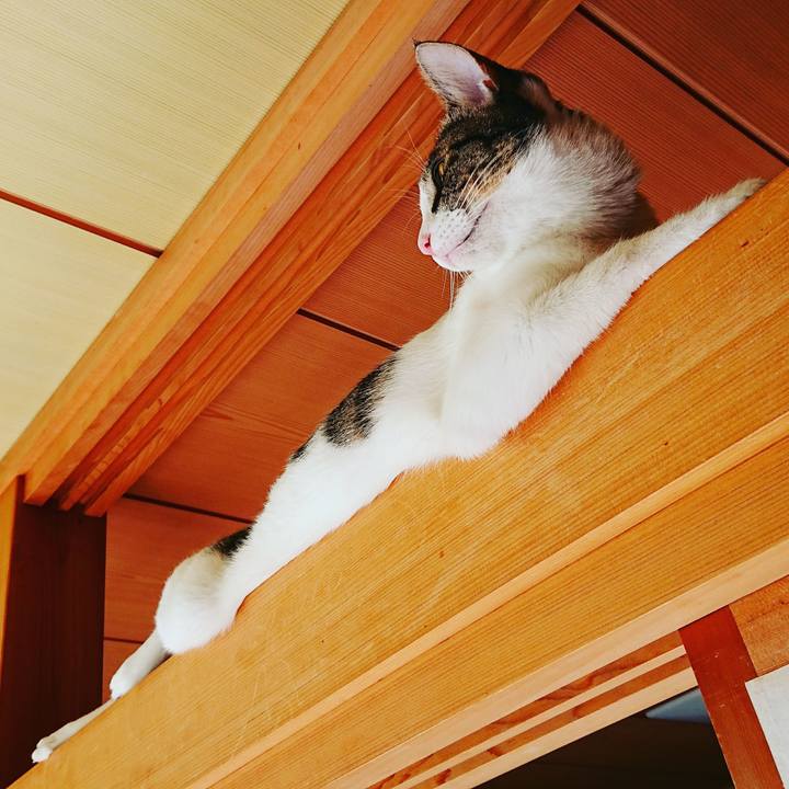 9dd0b8dd f1a9 48e3 8d66 6f783929b2f0 1509862204363