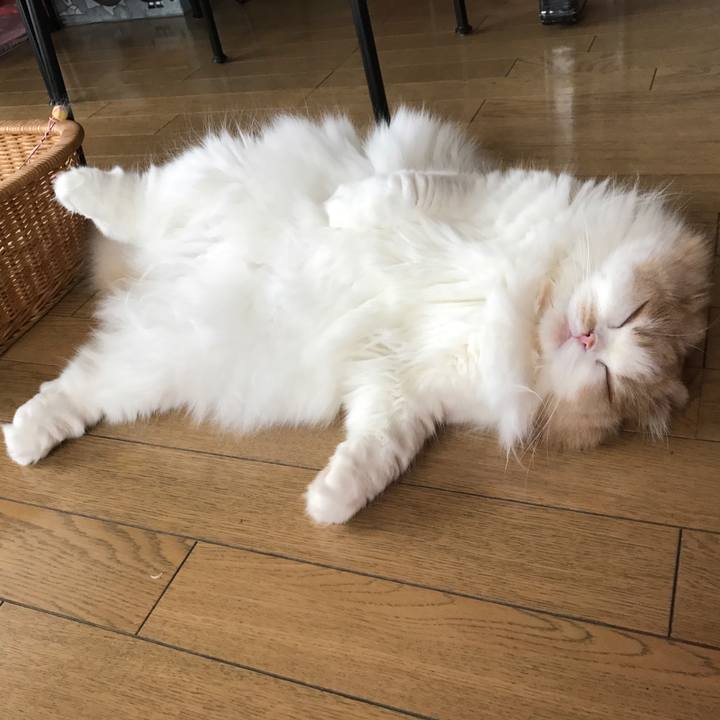 9dd0c56a 629a 49c7 a2f3 816627213c8c 1529288025691