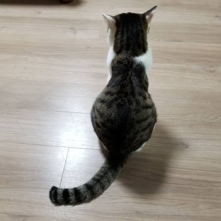 9dd0f05f 4767 414f ab39 e3c693f52867 1621978475861