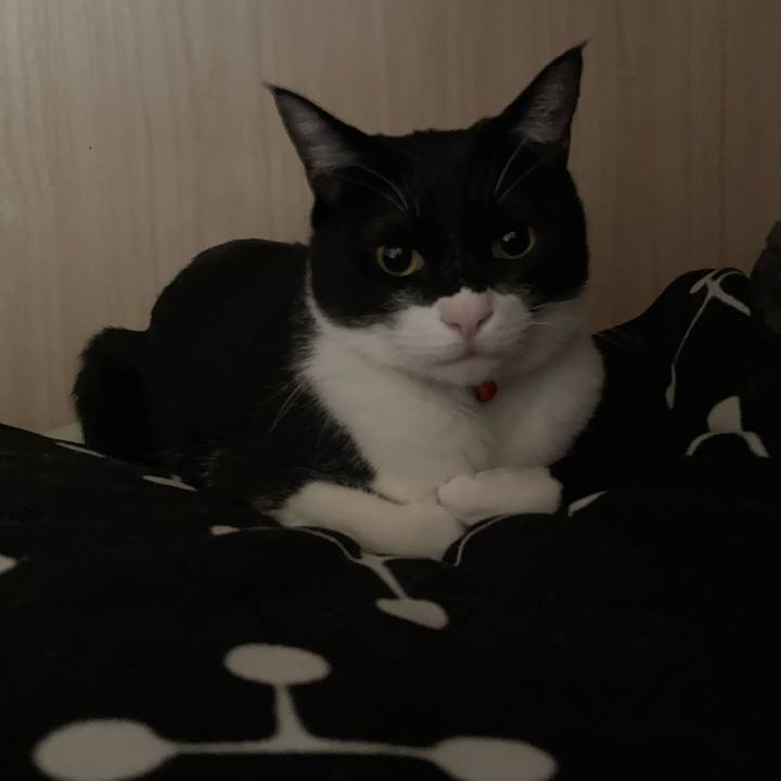 9dd0fb15 ae76 4d1a b216 b46f0b14fdbe 1616897473133