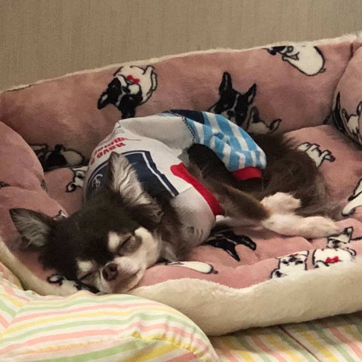 9dd122ff f759 4abf b1ad 4ba69103381a 1530754239272