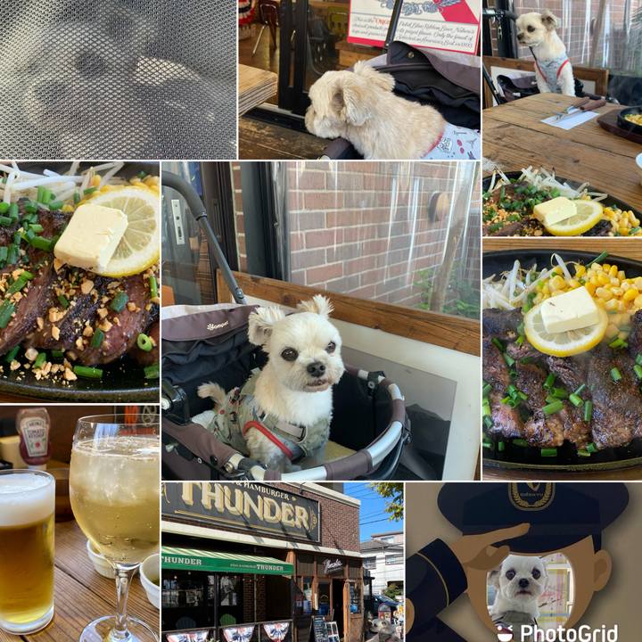 9dd12eb5 5560 4f31 b311 ca74ecd96b52 1667719491405