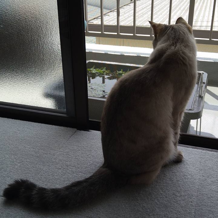 9dd14f8f 3438 4697 90aa bbce4203ba29 1620559085090