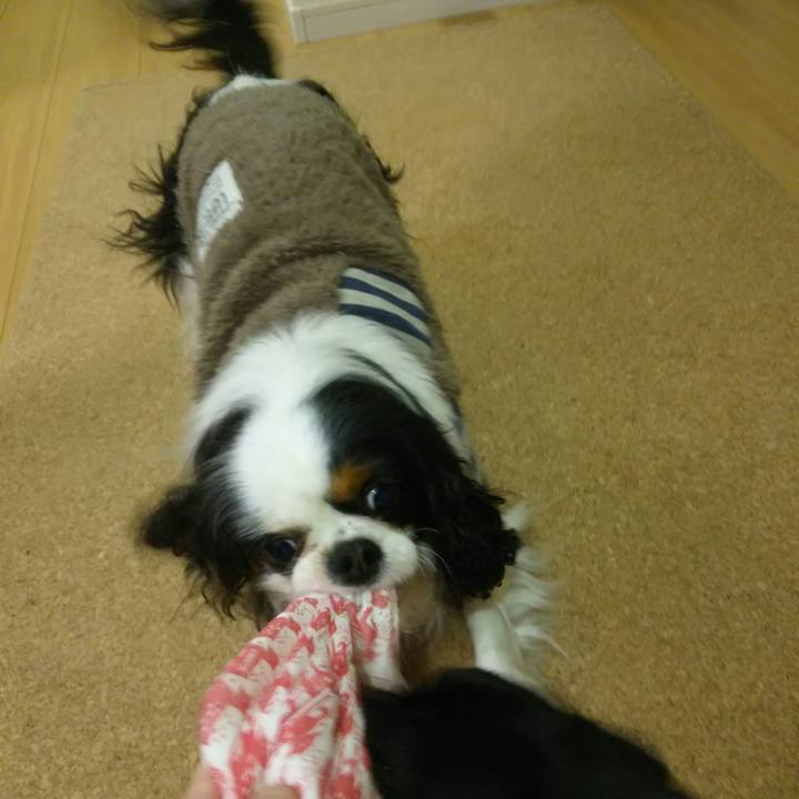 9dd161c2 ed11 491a 9bb0 3fe24d0226f7 1520769225955