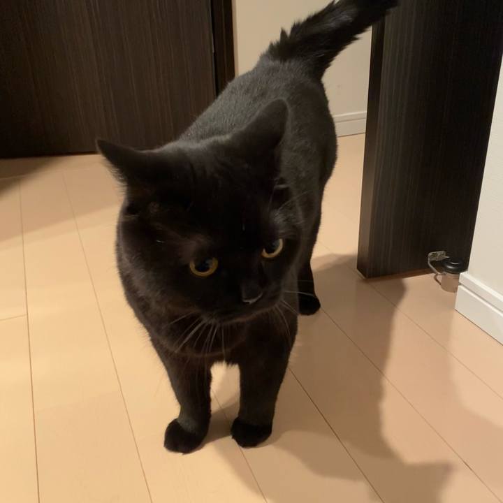 9dd177a5 a94e 4520 93c2 3cc63846edb4 1625913470150