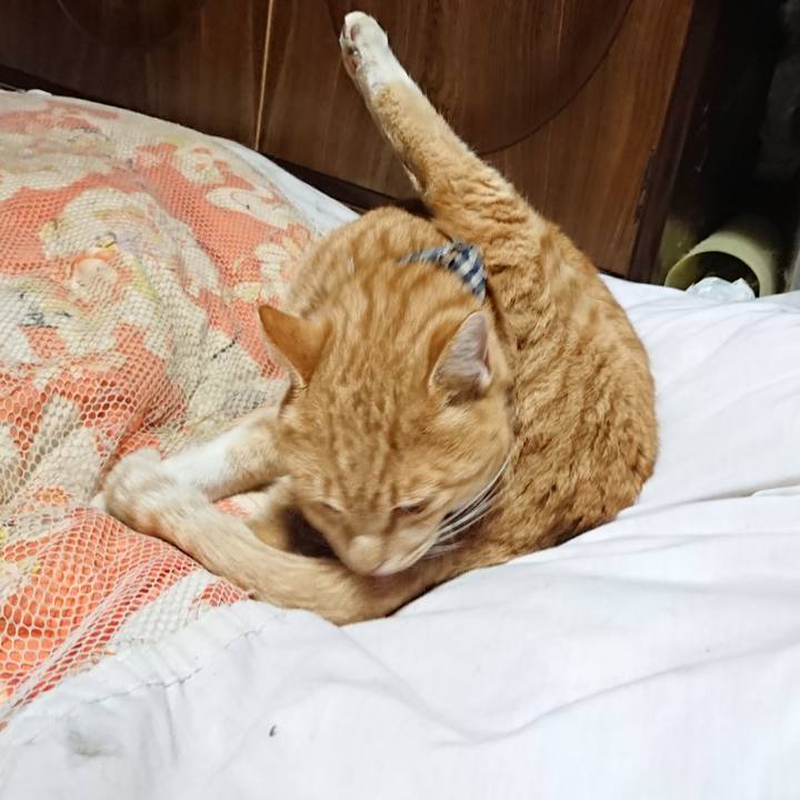 9dd19a3d 9ed5 4d64 beaa b67a66dfc539 1574855909788