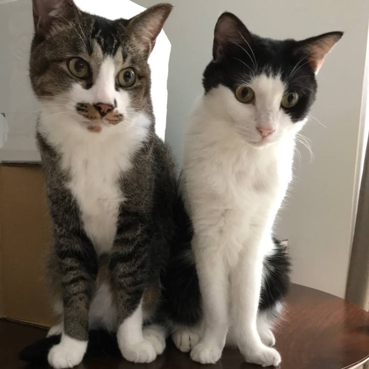 9dd1a892 1808 46a9 ad32 b0bde1750712 1532142828708