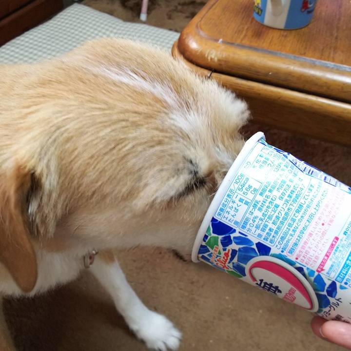 9dd1b0b9 7c11 433e abb8 57a5e171ebe4 1523568426357