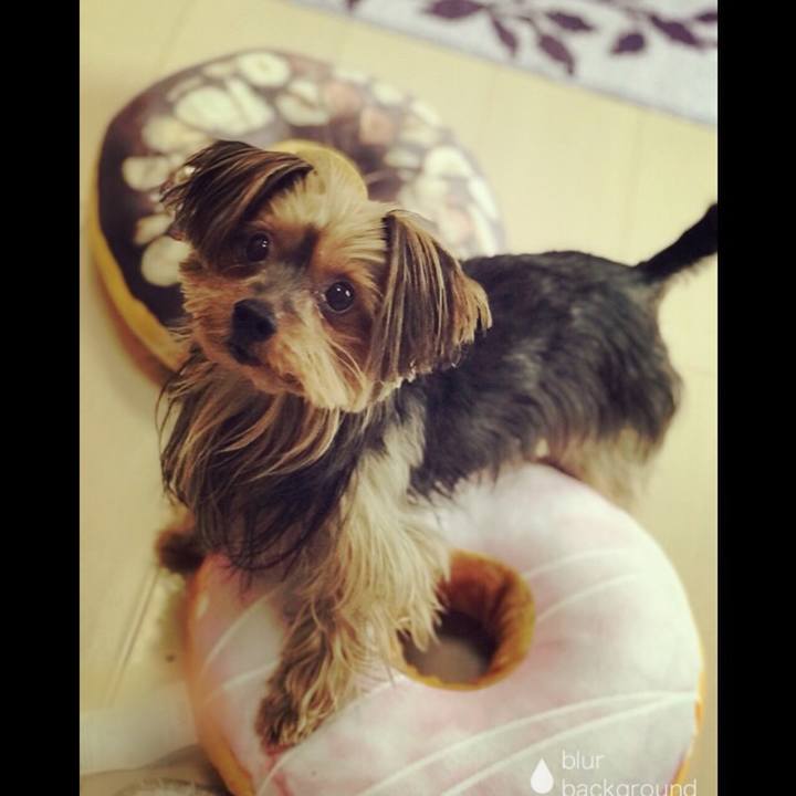 9dd1cec3 91e1 4734 bcf3 eb1869484bcc 1518221683499