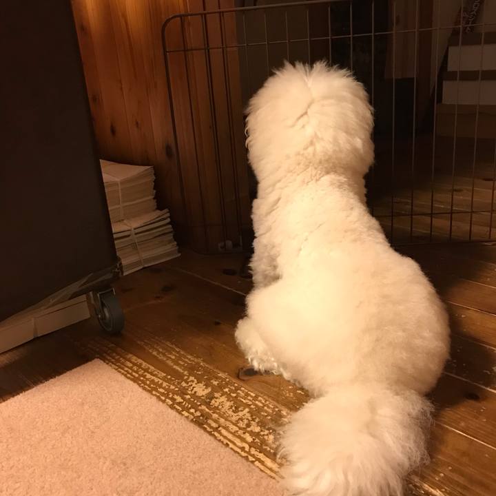 9dd2166e fe91 462a aa62 6368563c60ea 1560250316794