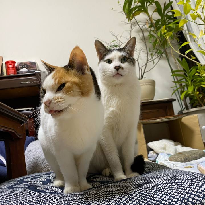 9dd22e3d d78b 4237 b565 16bcfa0df2e9 1675860732623