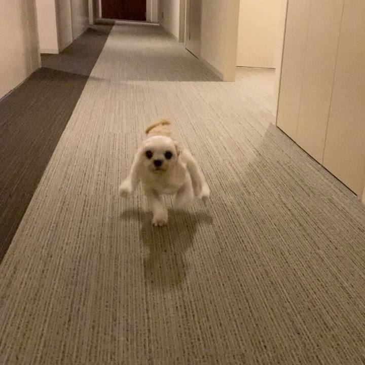 9dd22e67 bdab 4785 8744 3d097f1086f5 1572263312513