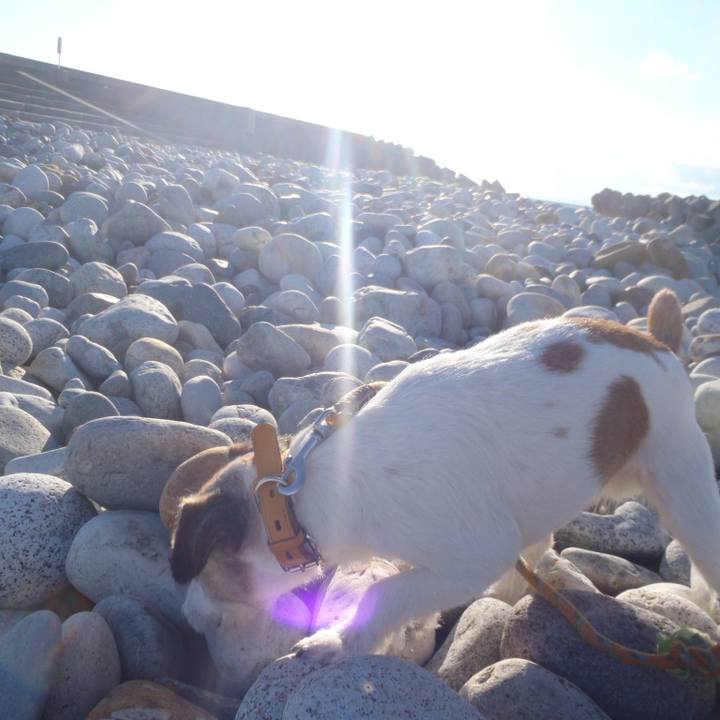 9dd2314d 28bd 422f 8743 d4972aaf1940 1542288875493