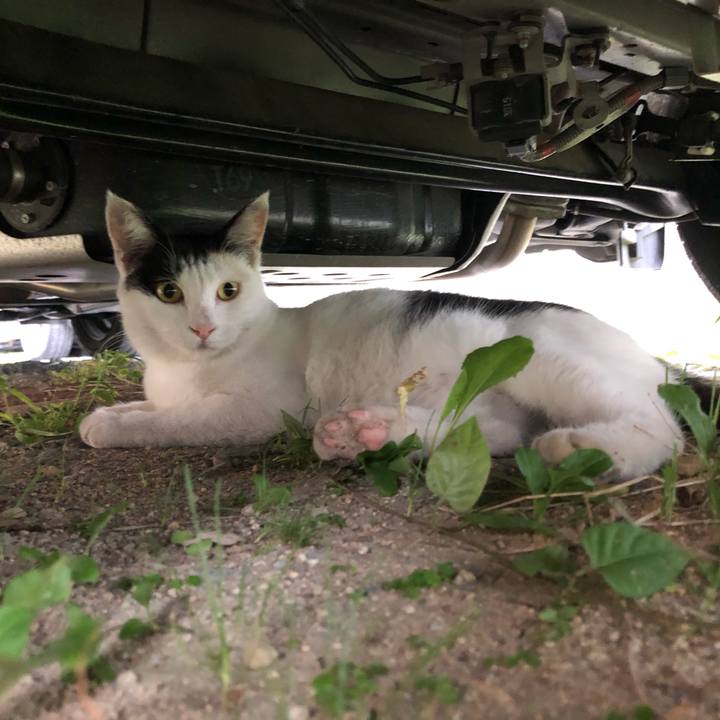 9dd243c7 79ea 4a07 945e 96dcc25a5332 1598998864398