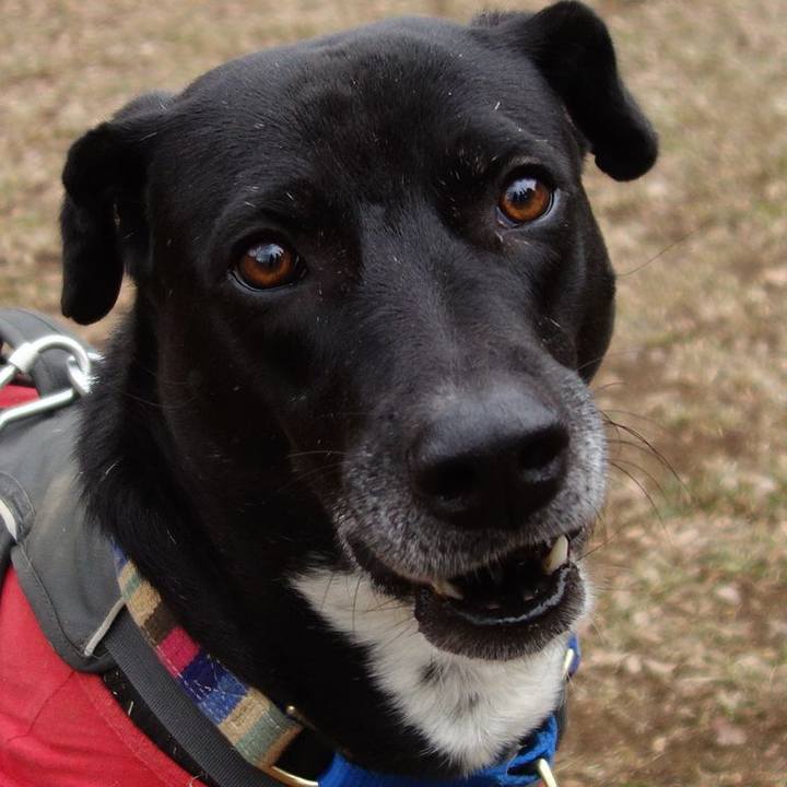 9dd2448c ca08 4874 b179 07c16e015802 1643417748579