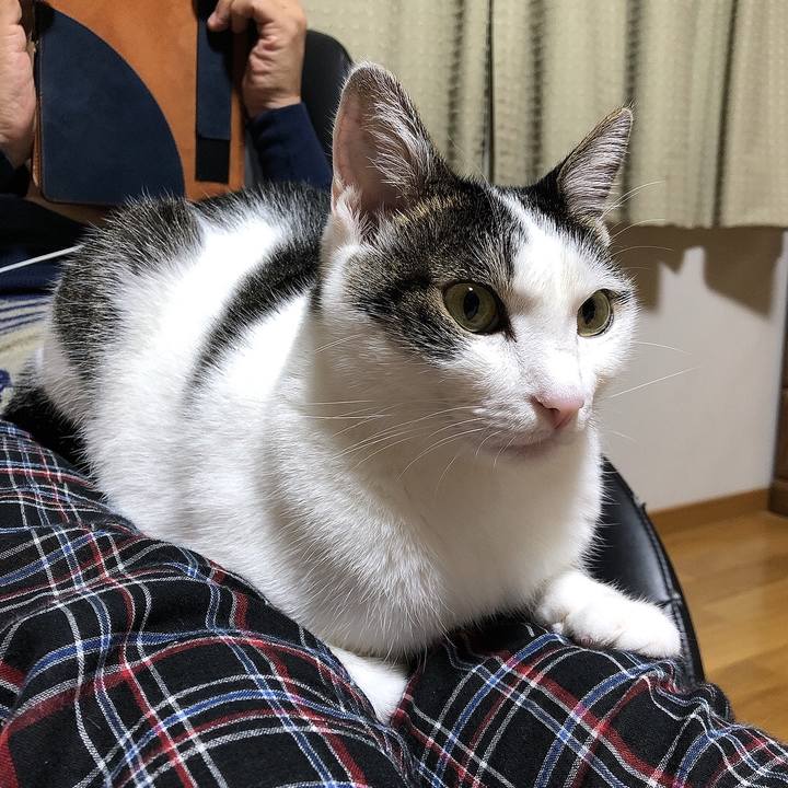 9dd25840 f686 40d8 9598 8f6b04223360 1696087150217