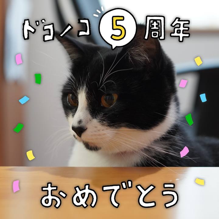 9dd25ef9 f0fb 434c 9213 3c7c9ea2f389 1622960798062