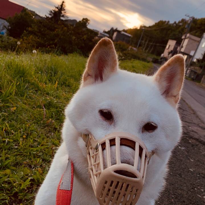 9dd25f16 2232 490e b27f d965baf0fba8 1570746105330