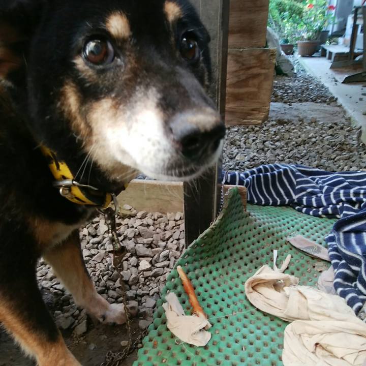 9dd264c0 0118 469c b414 97bfe3e63dfd 1537077509234