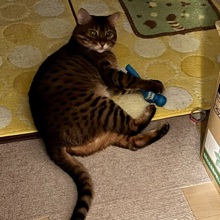 9dd2ad8d 6e5c 4811 beca d9dda85d05e8 1689131526447