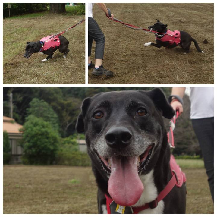 9dd2c6fa 888e 47e1 8122 0914fbf9bf50 1695772743039