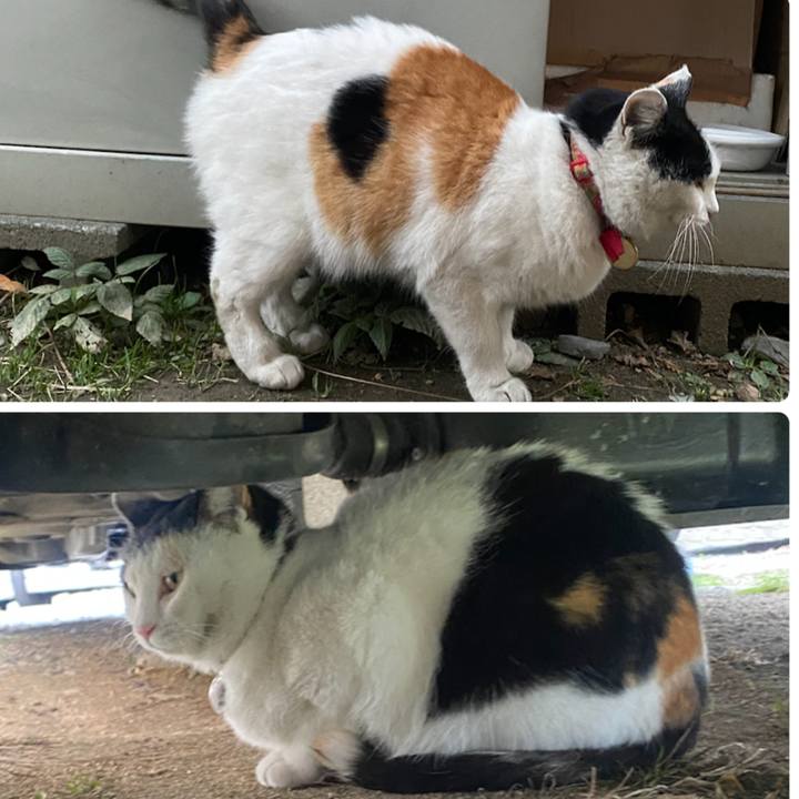 9dd2ddad 1550 45be b7f2 63c65f07a063 1642856156396