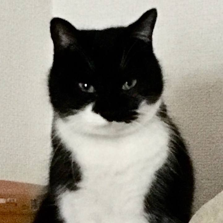 9dd2f826 81af 4bad 928d 76b69fd94492 1522291454217