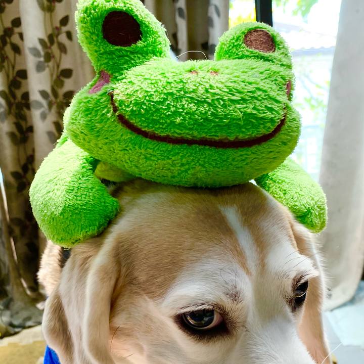 9dd30dbc e8af 45a2 be63 907bcdb6f474 1622347707424