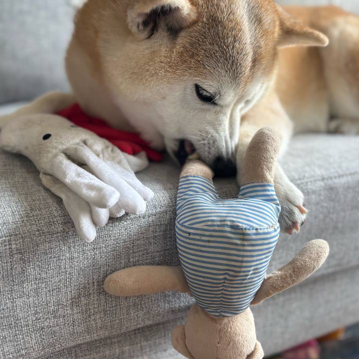 9dd31b45 606e 4fa7 ab9f 79422d1dc4e0 1747253879486