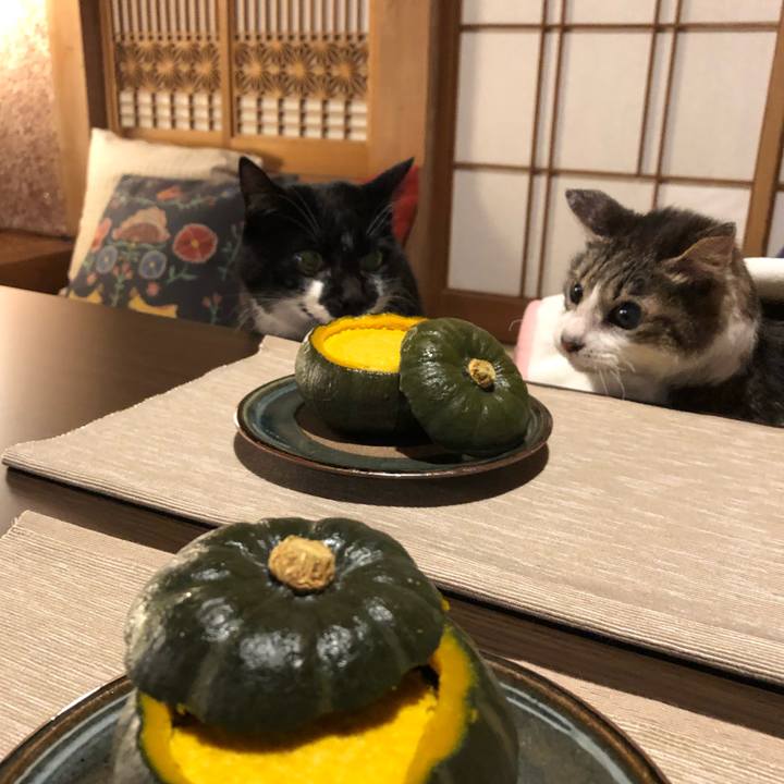 9dd334b9 d8c7 4541 ac7e 2ac55632fe90 1545485956992