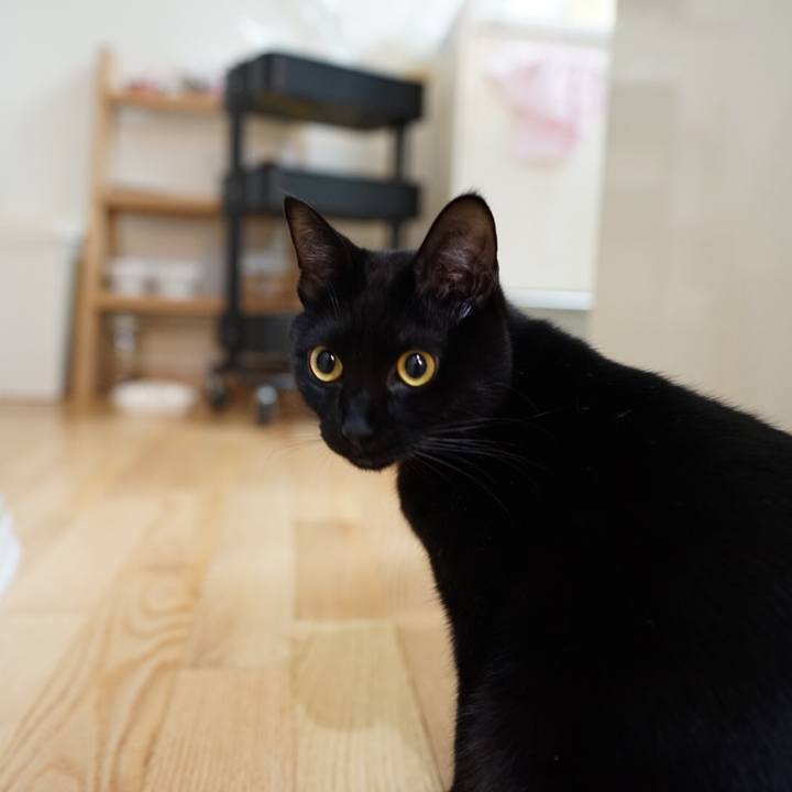 9dd33cc6 e17e 4747 ad86 d134bae8b795 1547044870830