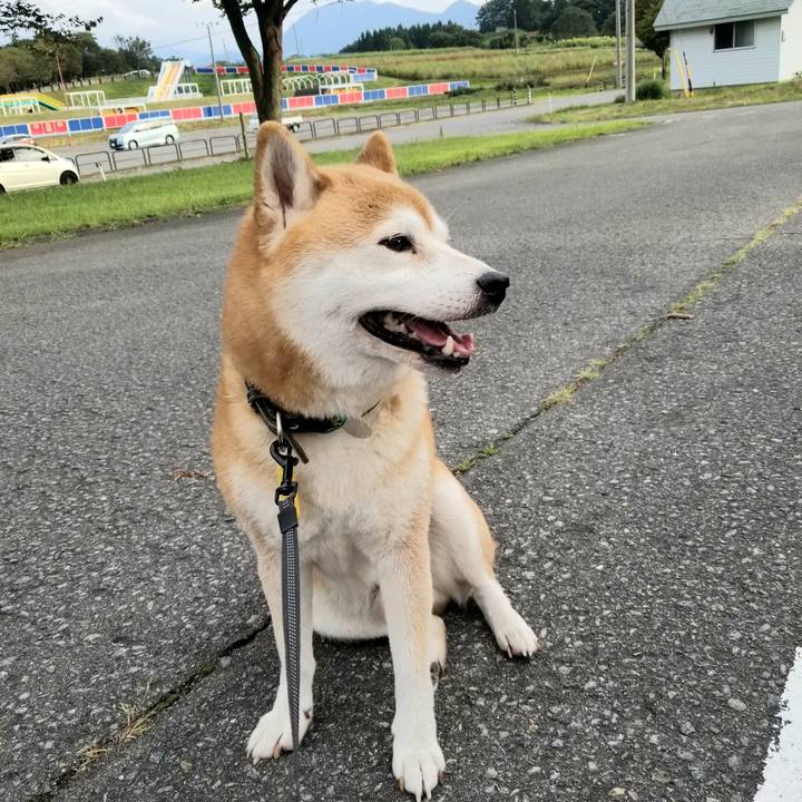 9dd33ee4 3358 4054 a3f6 dc5c8d1c2aa3 1600586442126