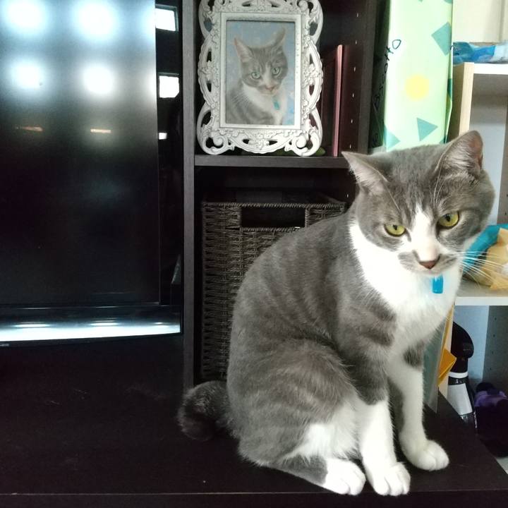 9dd34bd0 733f 49c3 a4c7 baa23ab9b9c1 1596184126705