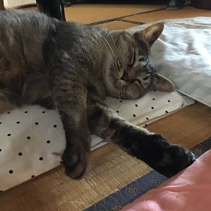 9dd39b51 f650 4ad2 ad81 546e2cee33bd 1687663629527