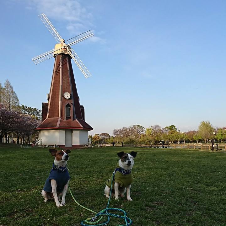 9dd3de87 ff45 4451 a163 3fbd027e90d7 1586250779226